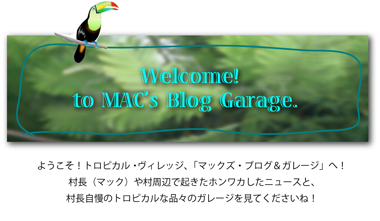 BlogTitle380.jpg